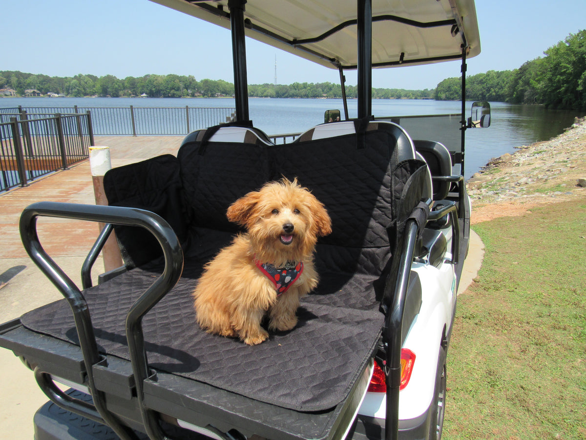 Golf cart 2025 basket for dogs